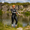 Aspire Wetsuit